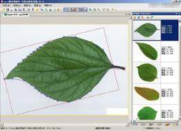 LA-S植物葉面圖像分析系統(tǒng)